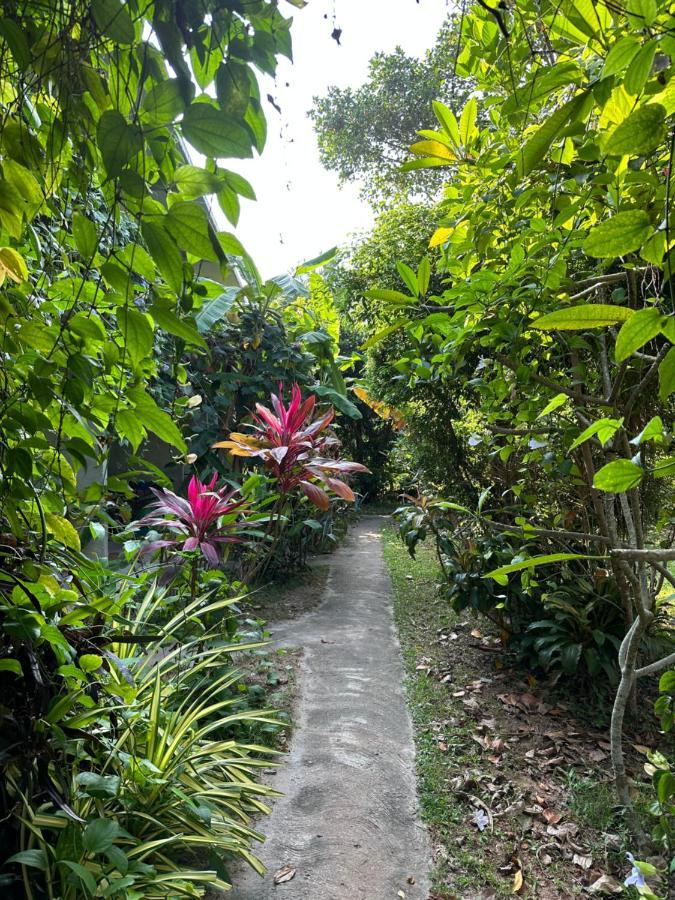 Dreamtime Sri Lanka Hotell Hikkaduwa Eksteriør bilde