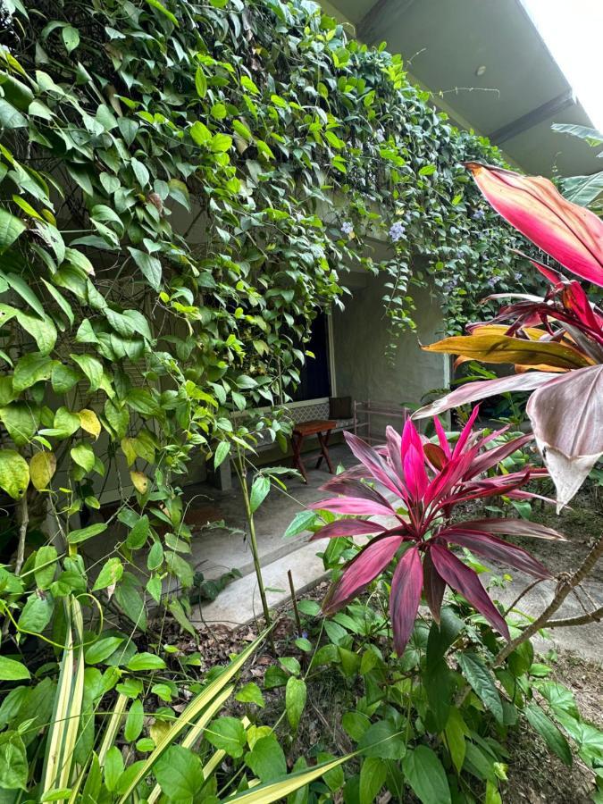 Dreamtime Sri Lanka Hotell Hikkaduwa Eksteriør bilde