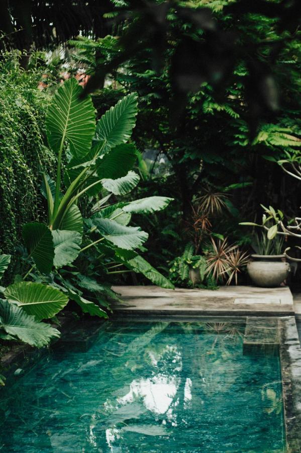 Dreamtime Sri Lanka Hotell Hikkaduwa Eksteriør bilde