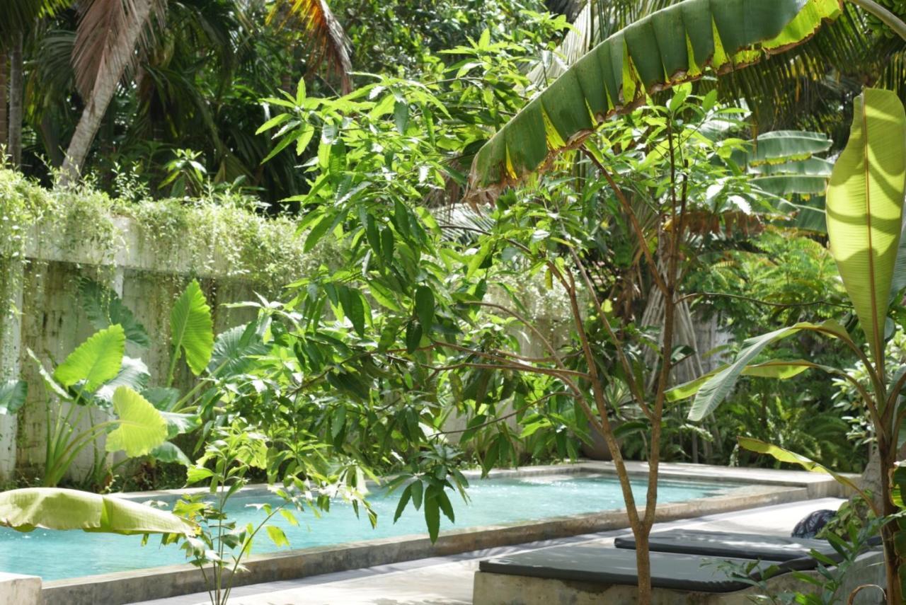 Dreamtime Sri Lanka Hotell Hikkaduwa Eksteriør bilde